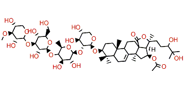 Cucumarioside A14